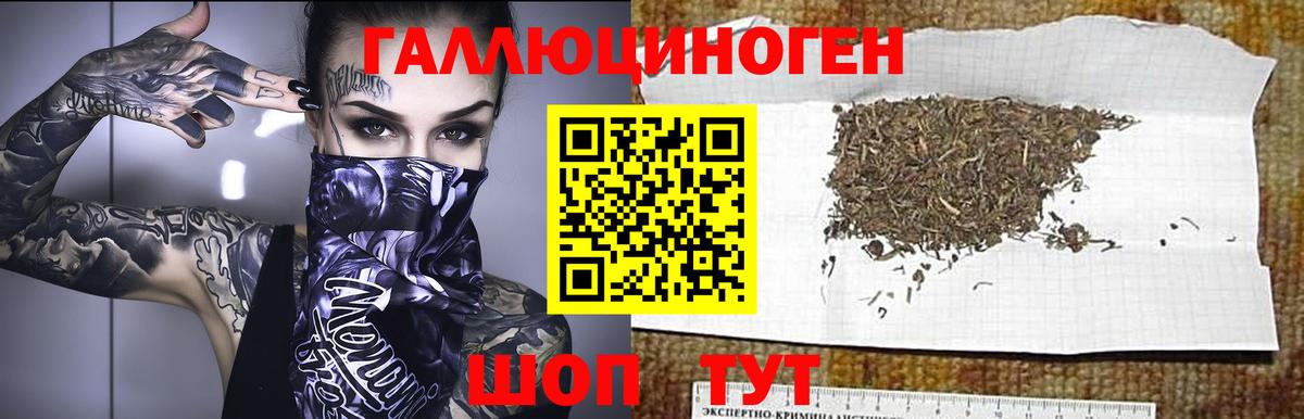 Железноводск  Галлюциногенные грибы прущие грибы  Вход с VPN 