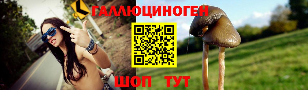 Галлюциногенные грибы прущие грибы Железноводск